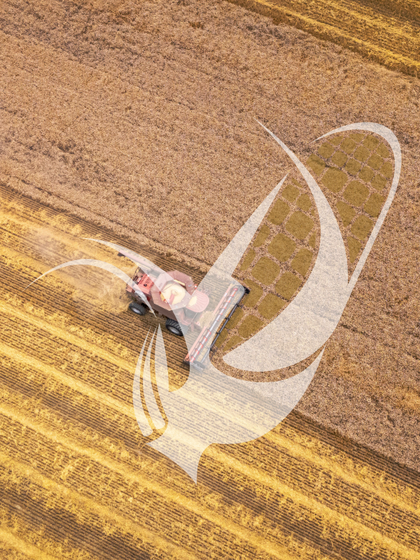 Flexi Grain Solutions - About