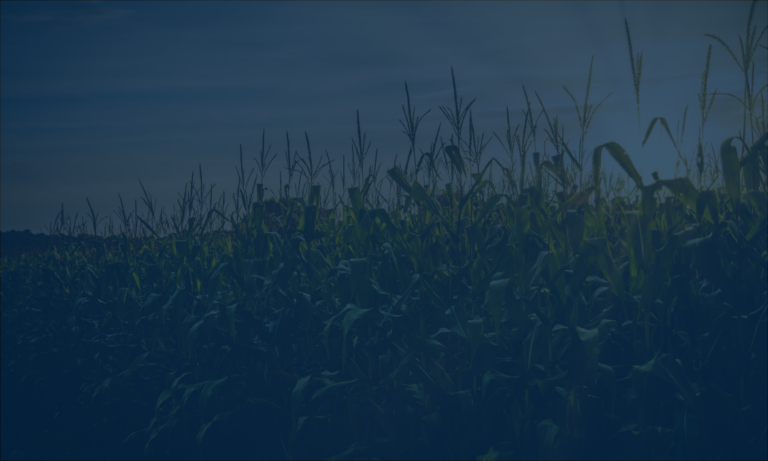 Flexi Grain - Home Page